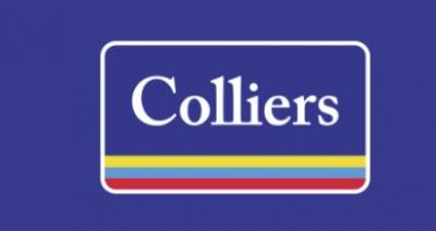 Colliers Property, Project & Development Italy s.r.l.
